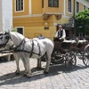 Индивидуальные экскурсии по Венгрии. ИЗЛУЧИНА ДУНАЯ. Сентэндре