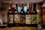 Budapest.Cruise with beer tasting (5 types)