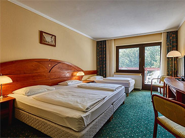Hotel Lover 3* Superior, Sopron